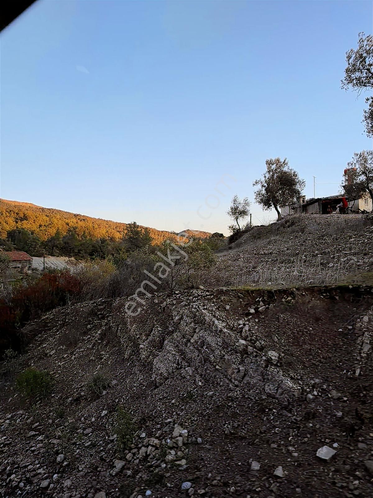 Kızıldağ Mahallesi 323 M2 Arsa - Görsel 6