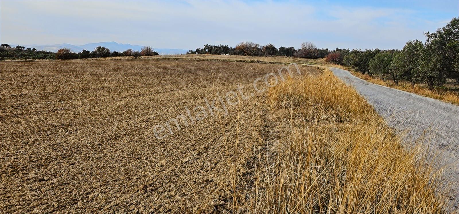 Kuzey Ege Limanı Ve Çandarlı'da Yatırım Fırsatı (16204 M2) - Görsel 4