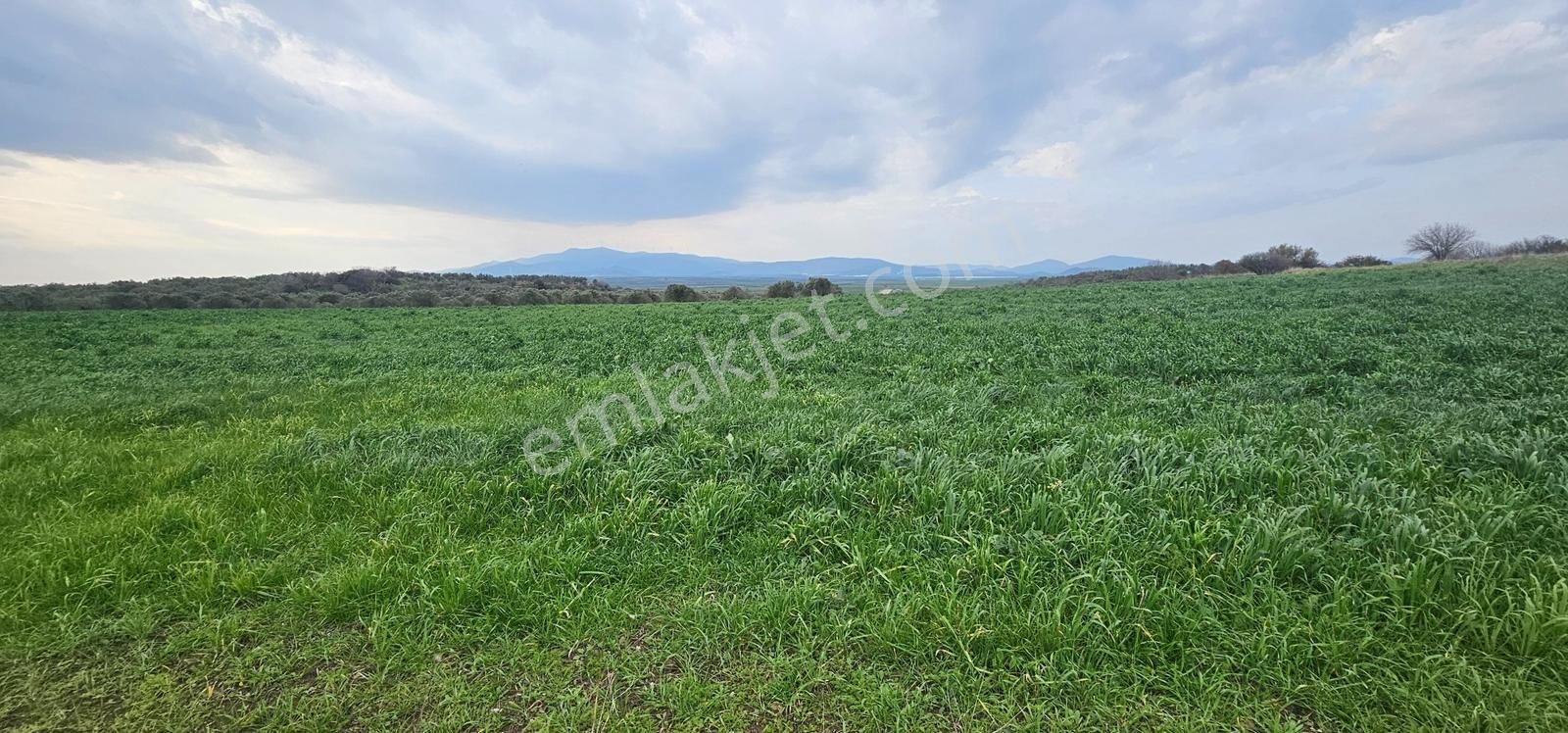 Kuzey Ege Limanı Ve Çandarlı'da Yatırım Fırsatı (16204 M2) - Görsel 19