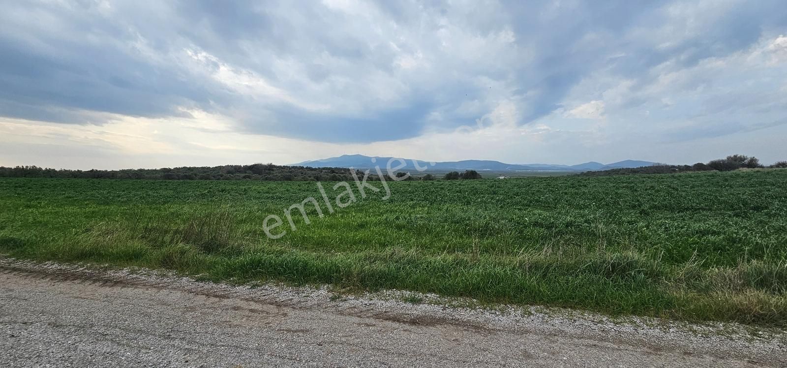 Kuzey Ege Limanı Ve Çandarlı'da Yatırım Fırsatı (16204 M2) - Görsel 29