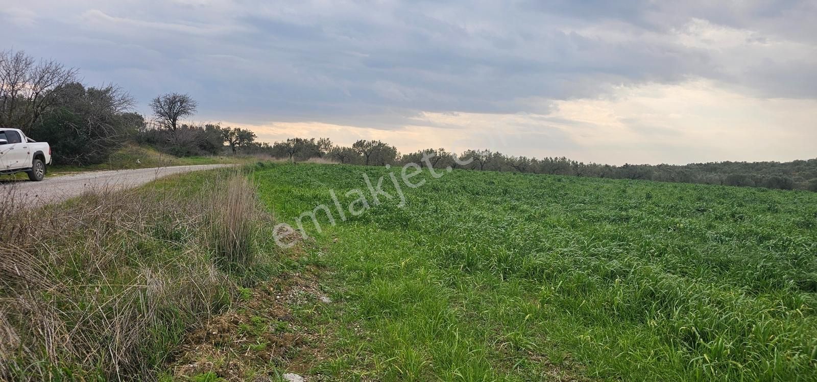 Kuzey Ege Limanı Ve Çandarlı'da Yatırım Fırsatı (16204 M2) - Görsel 8