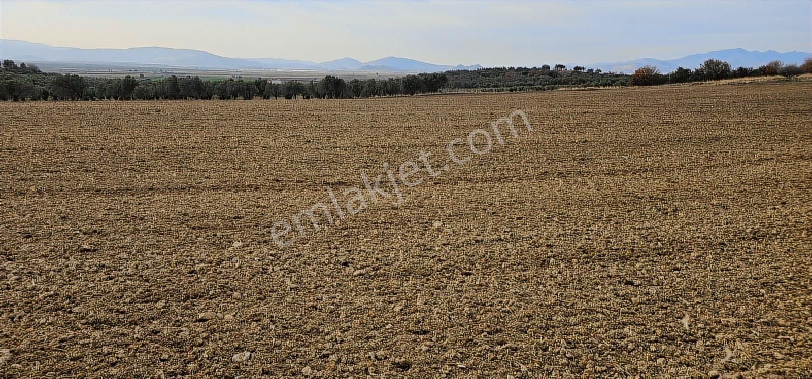 Kuzey Ege Limanı Ve Çandarlı'da Yatırım Fırsatı (16204 M2) - Görsel 7