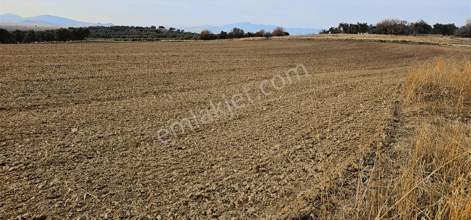 Kuzey Ege Limanı Ve Çandarlı'da Yatırım Fırsatı (16204 M2) - Görsel 9