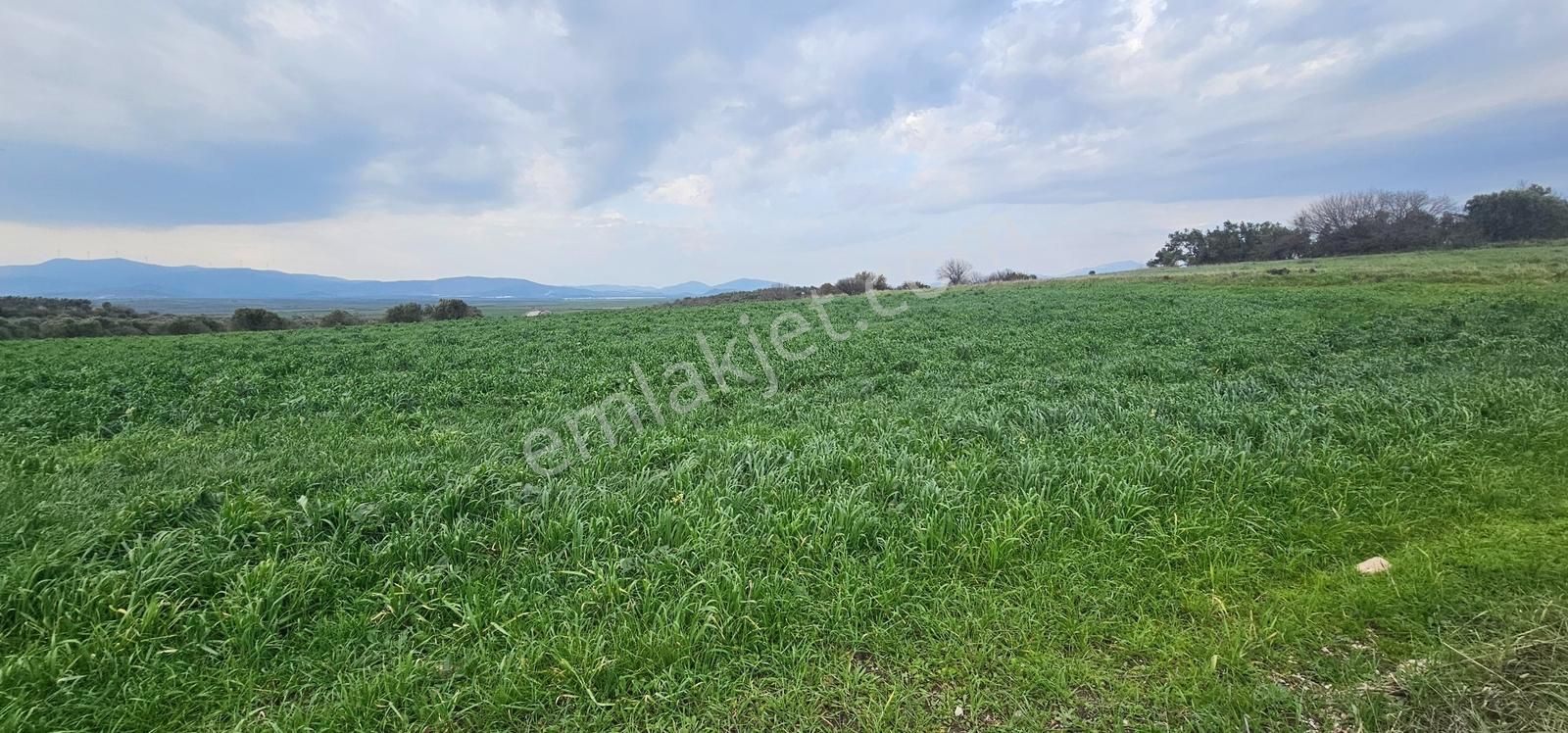 Kuzey Ege Limanı Ve Çandarlı'da Yatırım Fırsatı (16204 M2) - Görsel 18
