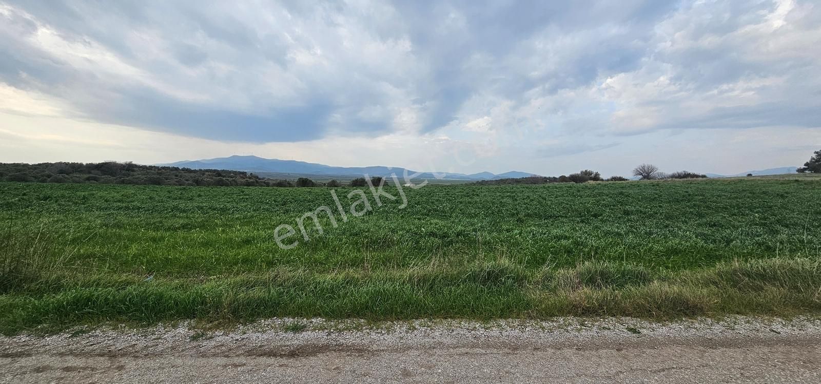 Kuzey Ege Limanı Ve Çandarlı'da Yatırım Fırsatı (16204 M2) - Görsel 6