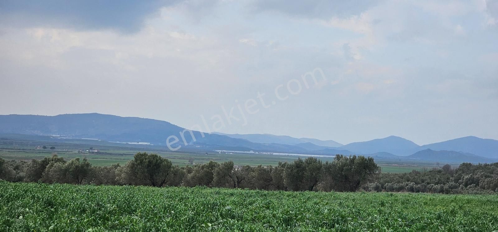 Kuzey Ege Limanı Ve Çandarlı'da Yatırım Fırsatı (16204 M2) - Görsel 16