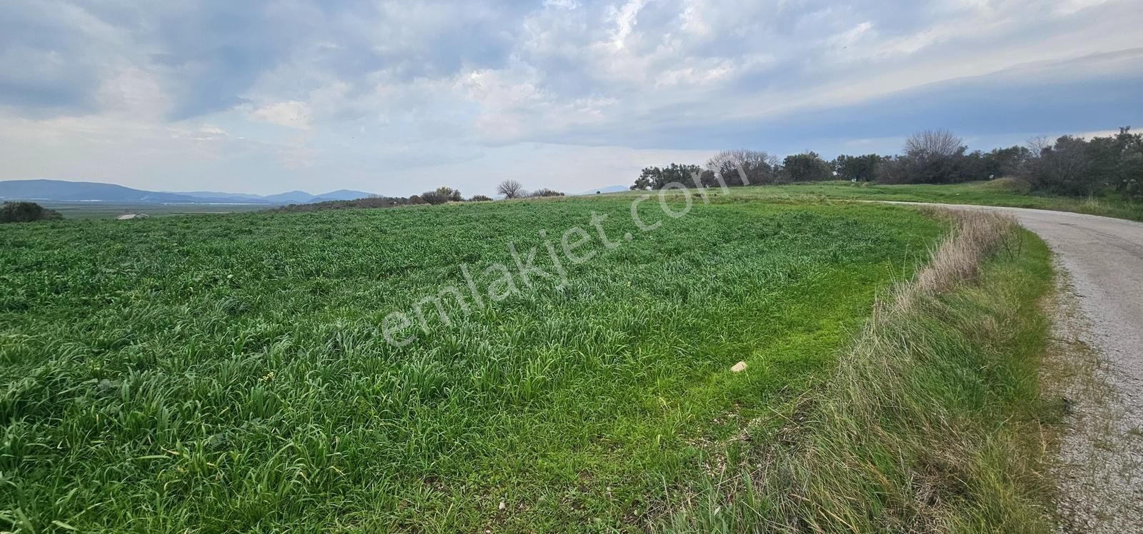 Kuzey Ege Limanı Ve Çandarlı'da Yatırım Fırsatı (16204 M2) - Görsel 11