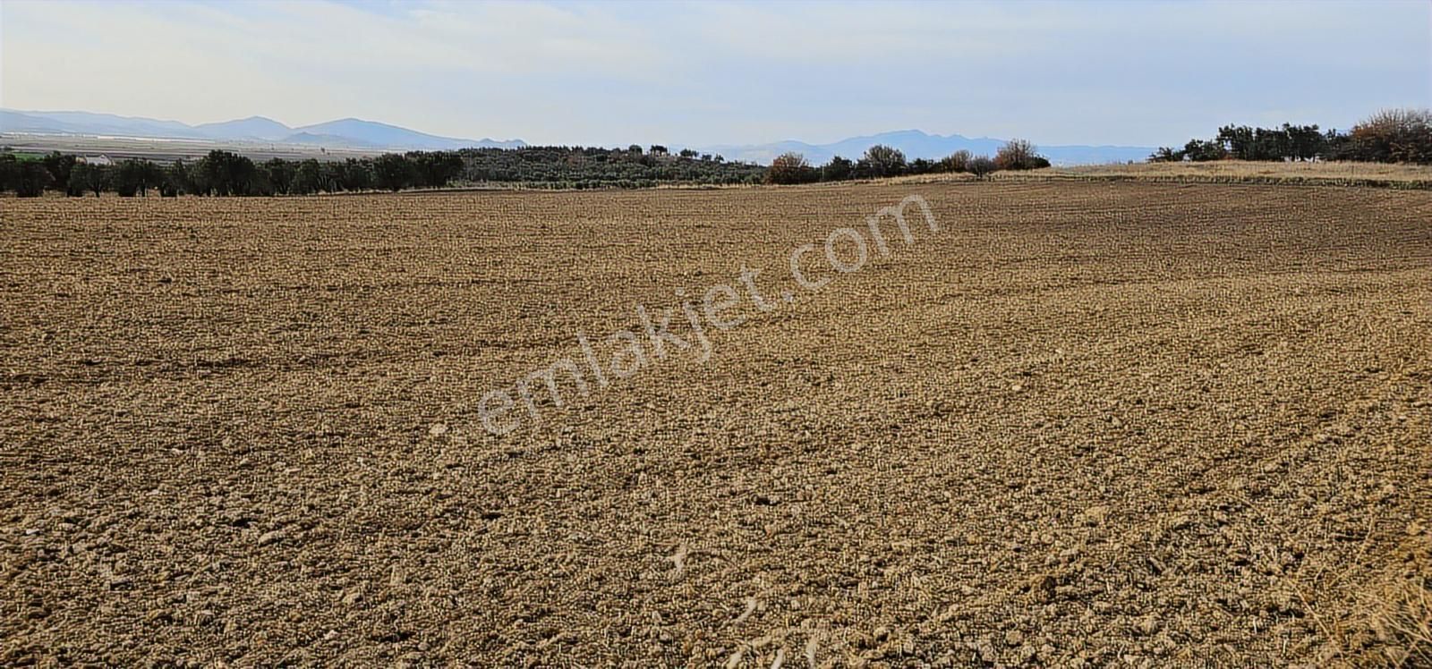Kuzey Ege Limanı Ve Çandarlı'da Yatırım Fırsatı (16204 M2) - Görsel 26