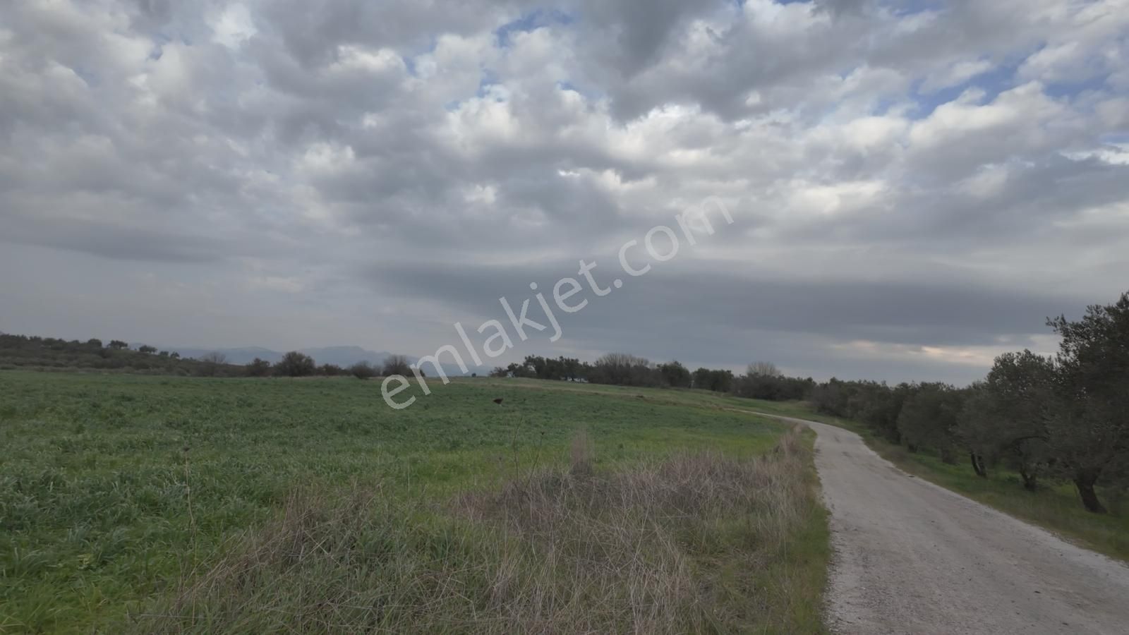 Kuzey Ege Limanı Ve Çandarlı'da Yatırım Fırsatı (16204 M2) - Görsel 20