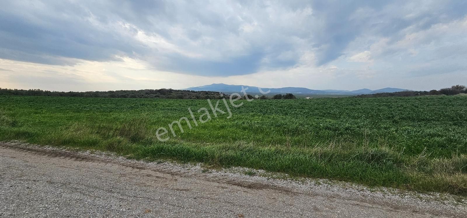 Kuzey Ege Limanı Ve Çandarlı'da Yatırım Fırsatı (16204 M2) - Görsel 3