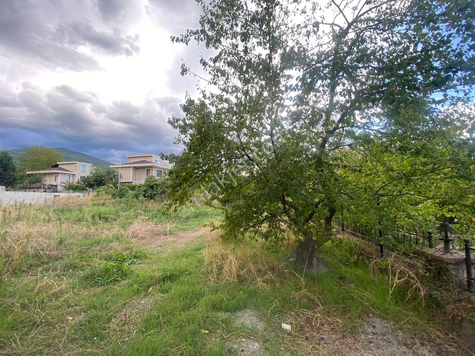 Remax Mavi'den Kırkpınar Soğuksu Mahallesi'nde Kiralık Arsa - Görsel 7
