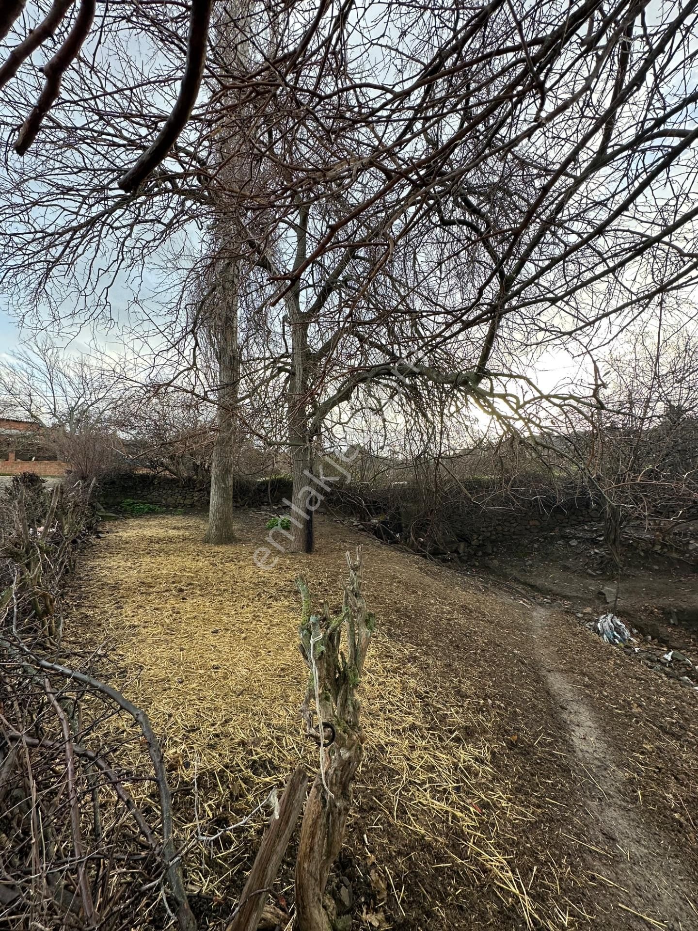 Ezine Şapköyde 124 M2 İmarlı, Köşe Başı Yatırımlık Arsa!!! - Görsel 29