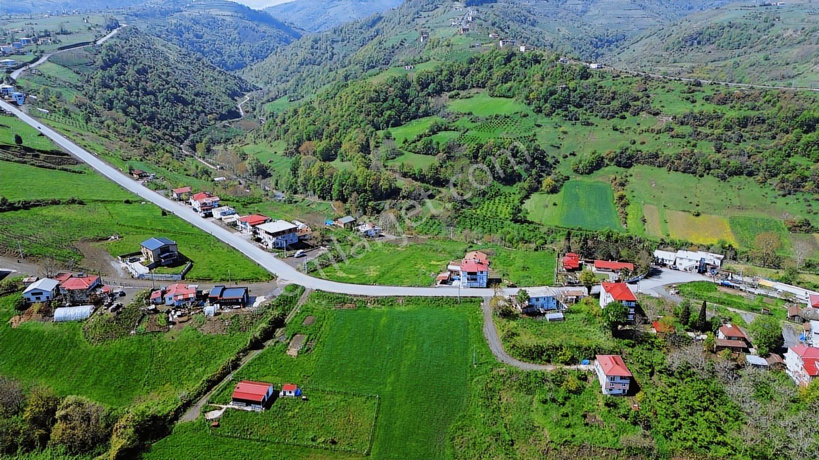 Tekkeköy Yavuzlar Mah. Deniz Manzaralı Satılık Arsa - Görsel 7