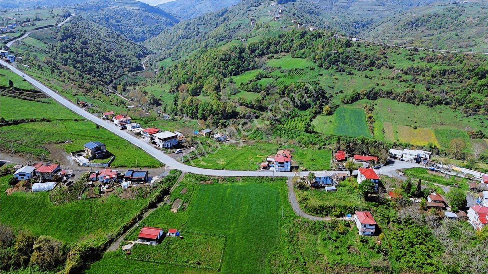 Tekkeköy Yavuzlar Mah. Deniz Manzaralı Satılık Arsa - Görsel 15