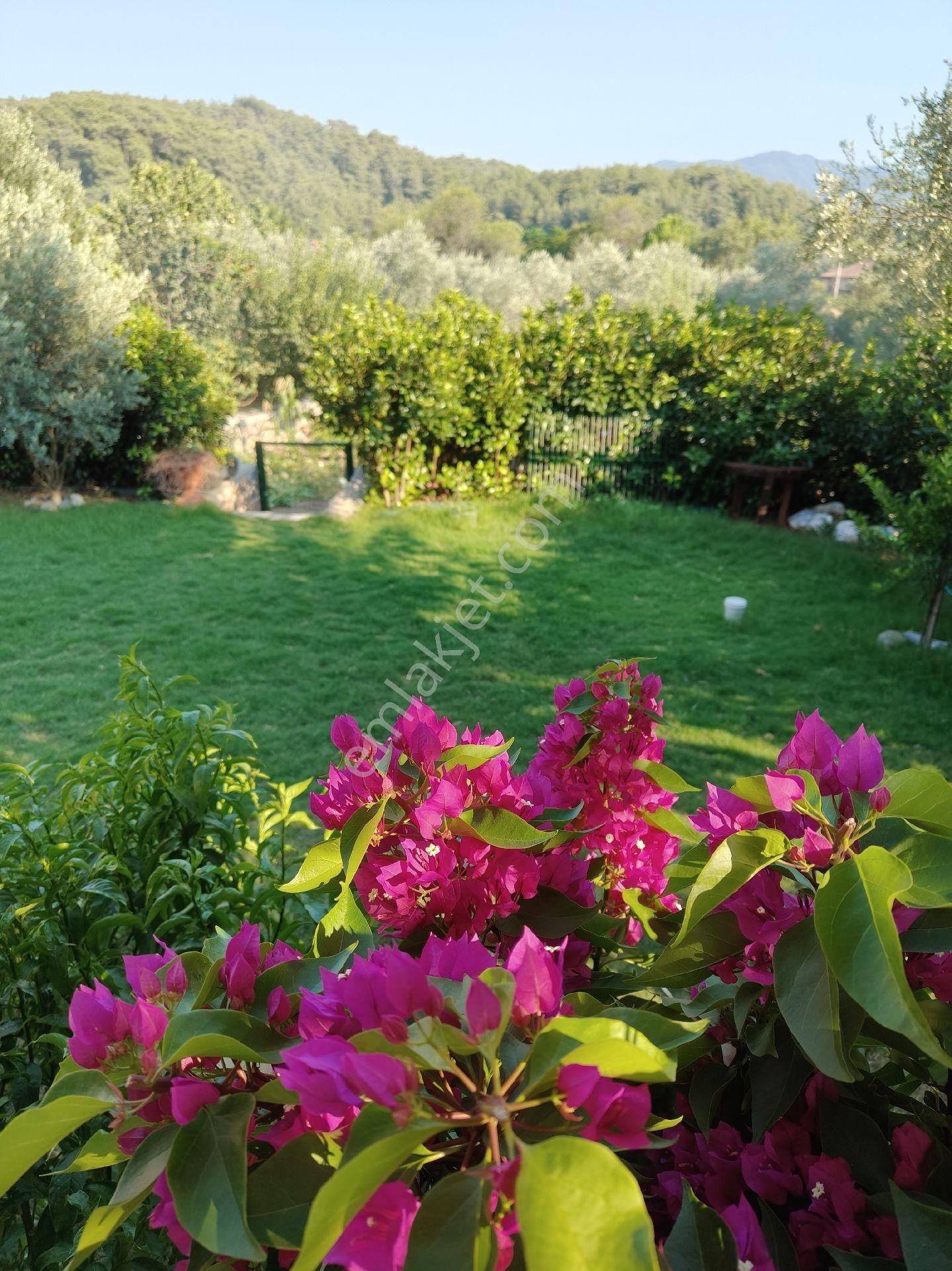 Muğla Ula Sarayyanı Mahallesi'nde Sahibinden Satılık Müstakil Ev - Görsel 5