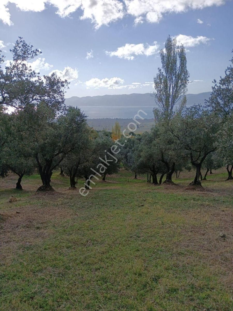 Acilll Fiyat Düştü Fırsat!! Göl Manzaralı Satılık 17 Dönüm Arazi - Görsel 11