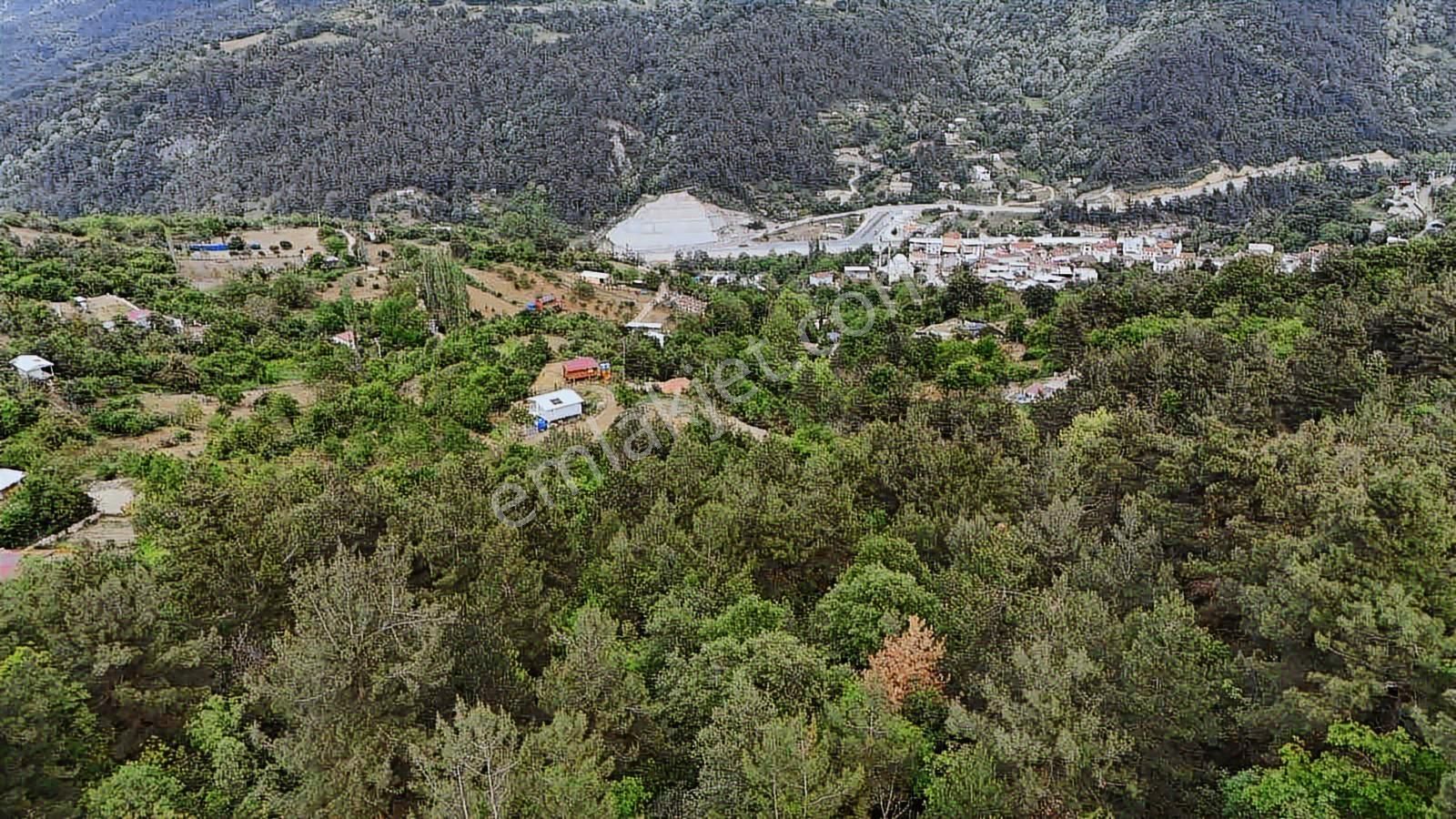 Ddoğancı Köyü Ne Yakın Satılık Arazi - Görsel 22