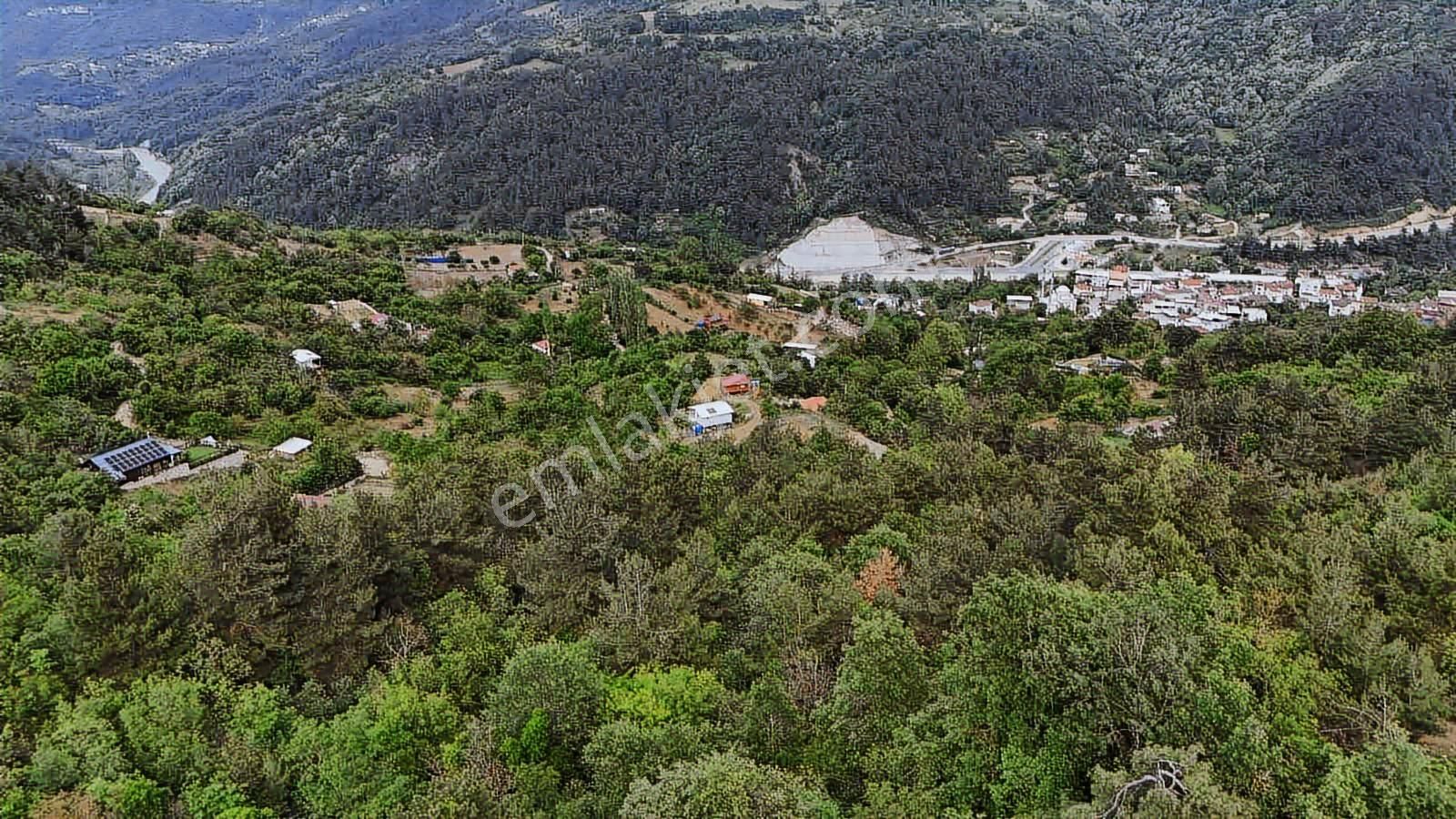 Ddoğancı Köyü Ne Yakın Satılık Arazi - Görsel 5