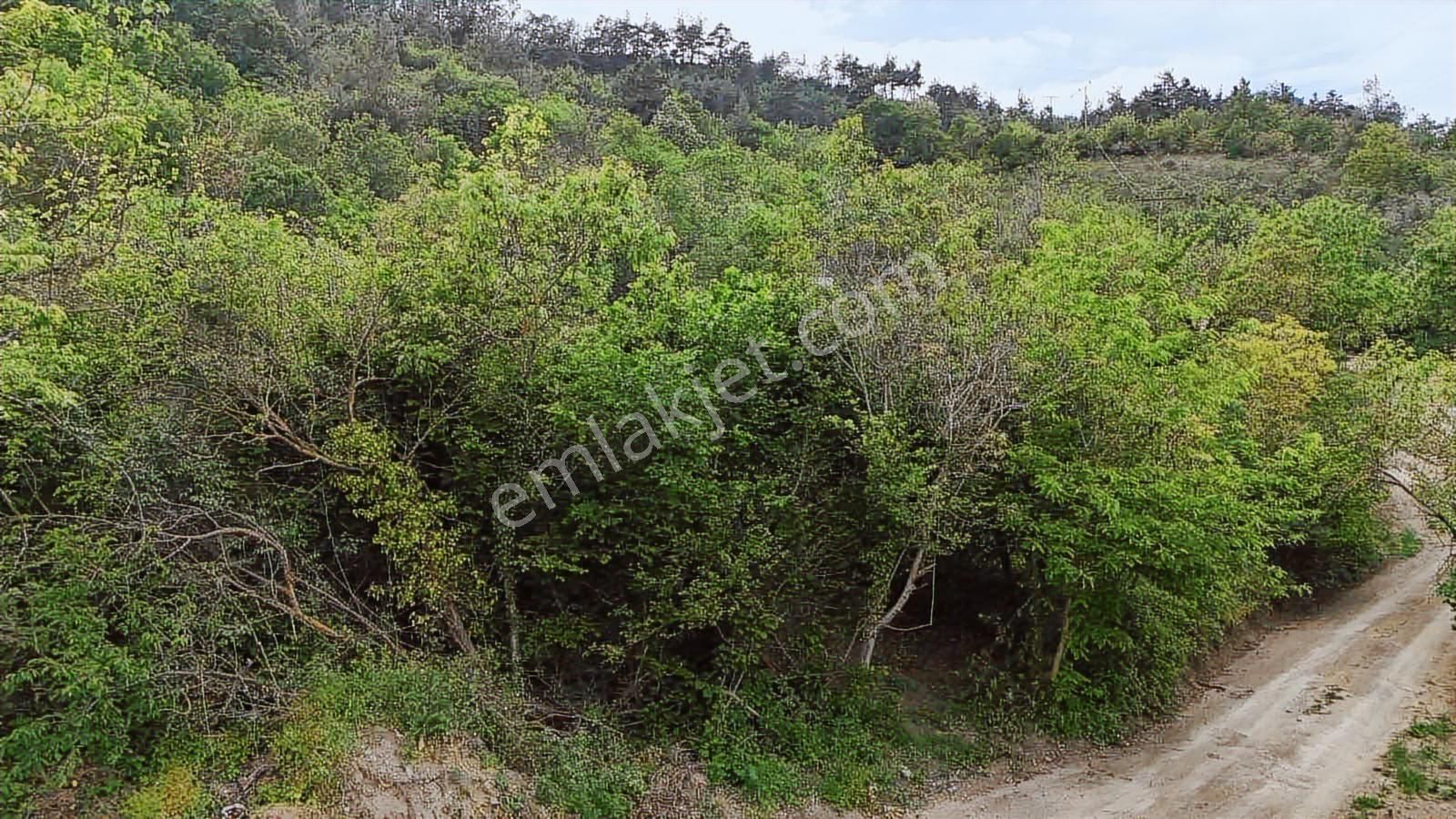 Ddoğancı Köyü Ne Yakın Satılık Arazi - Görsel 27