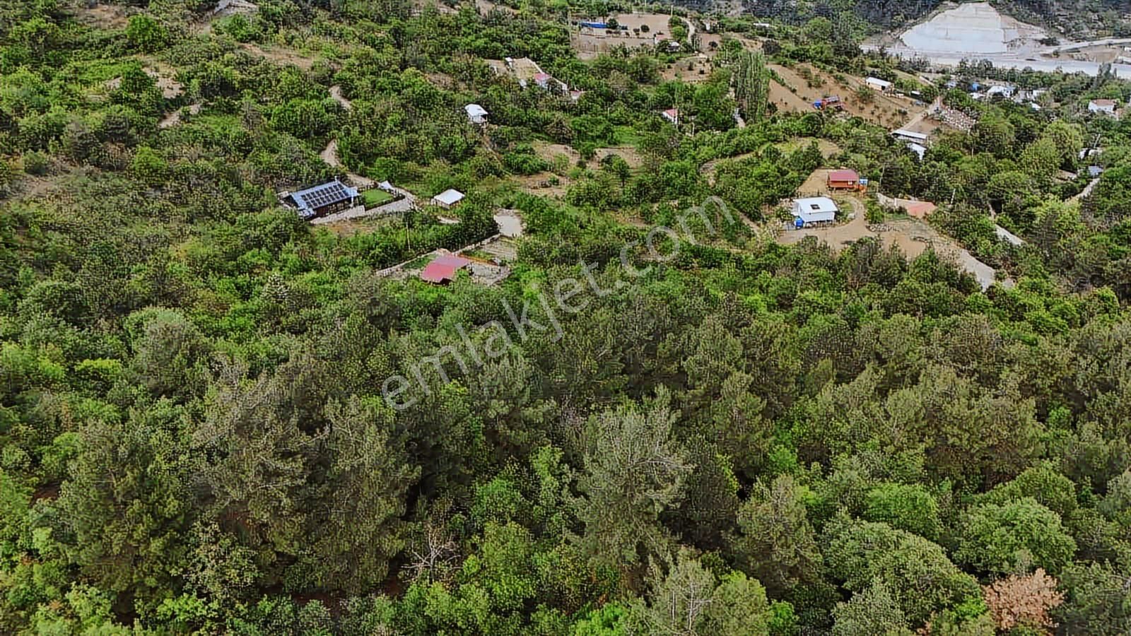 Ddoğancı Köyü Ne Yakın Satılık Arazi - Görsel 11