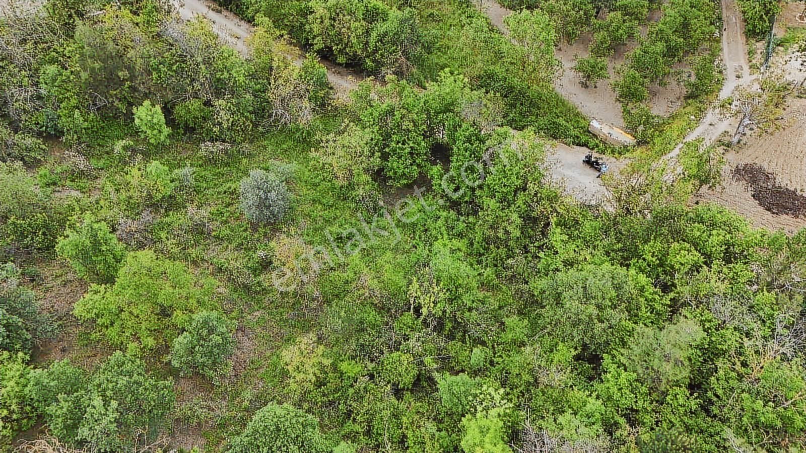 Ddoğancı Köyü Ne Yakın Satılık Arazi - Görsel 25