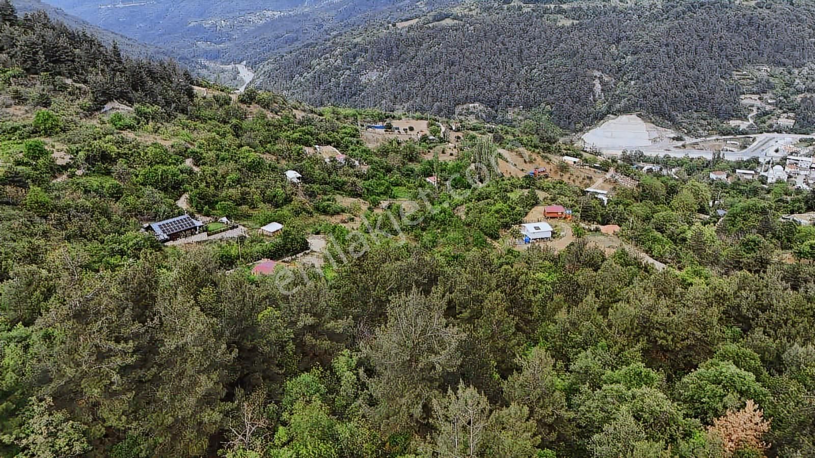 Ddoğancı Köyü Ne Yakın Satılık Arazi - Görsel 28