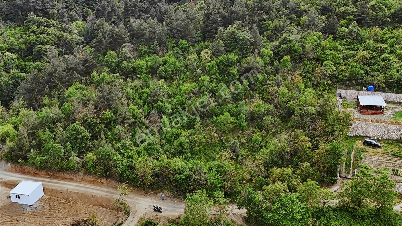 Ddoğancı Köyü Ne Yakın Satılık Arazi - Görsel 34