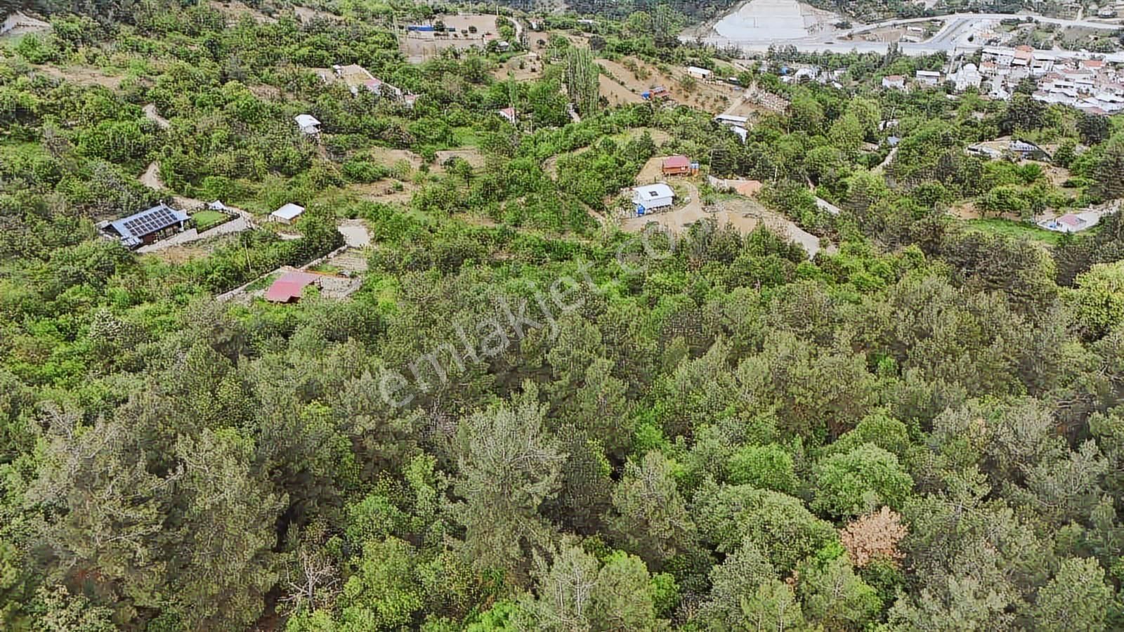 Ddoğancı Köyü Ne Yakın Satılık Arazi - Görsel 35