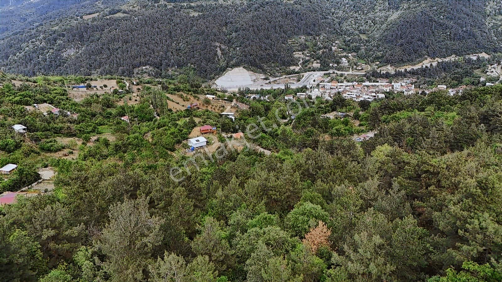 Ddoğancı Köyü Ne Yakın Satılık Arazi - Görsel 20