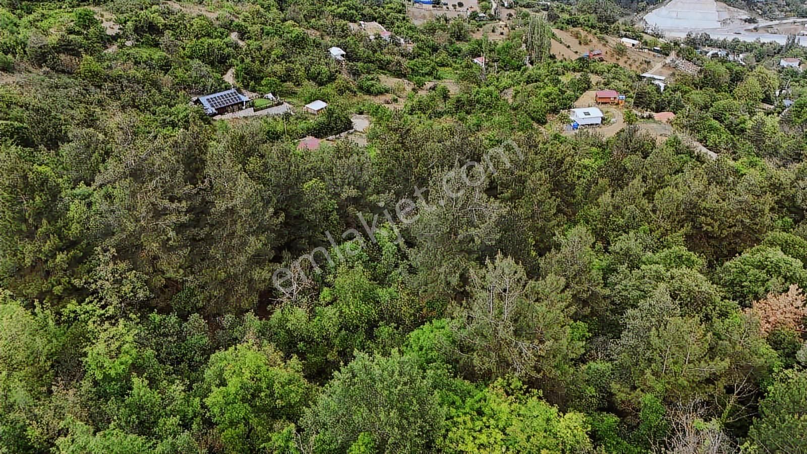 Ddoğancı Köyü Ne Yakın Satılık Arazi - Görsel 6