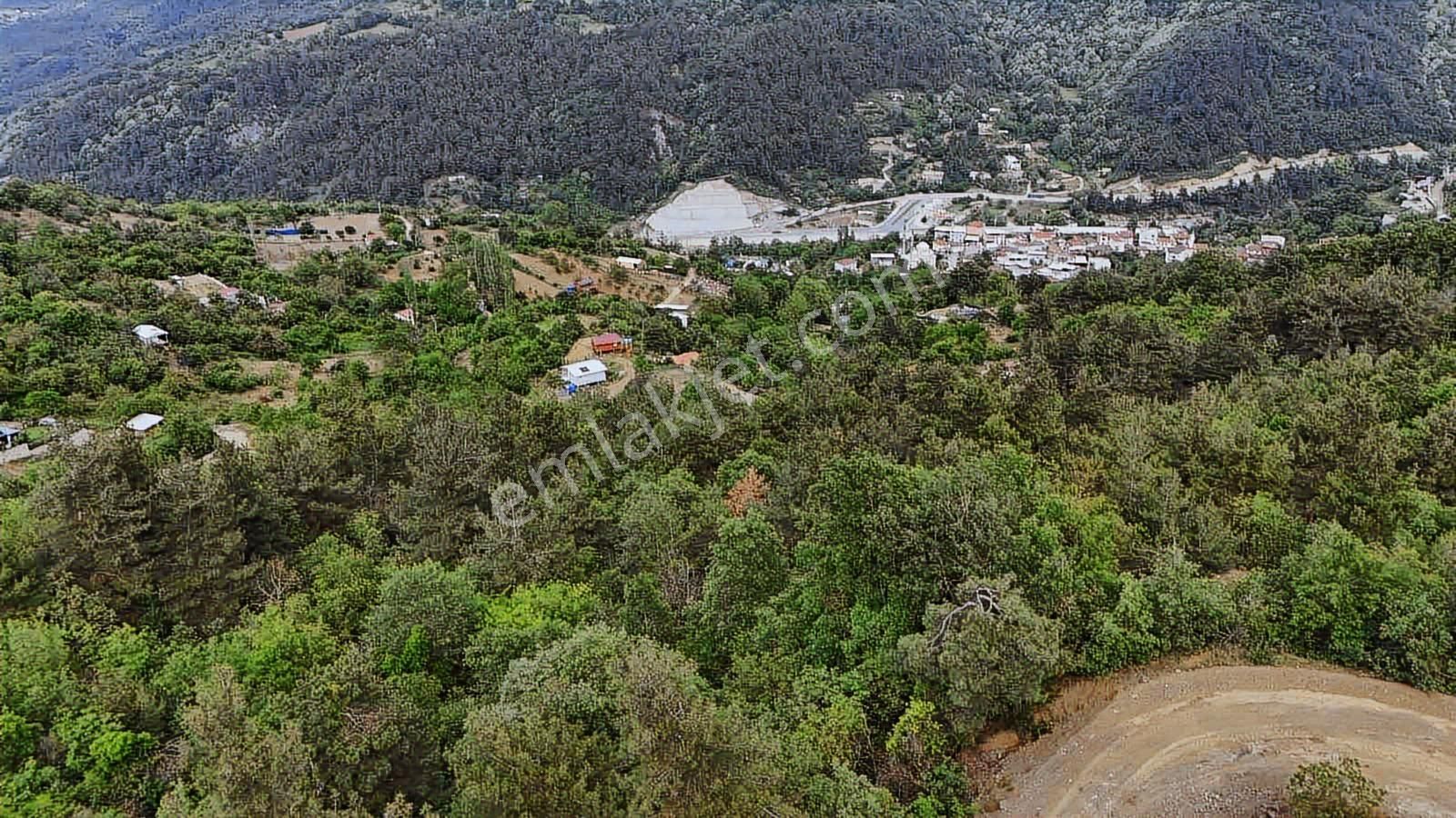 Ddoğancı Köyü Ne Yakın Satılık Arazi - Görsel 19