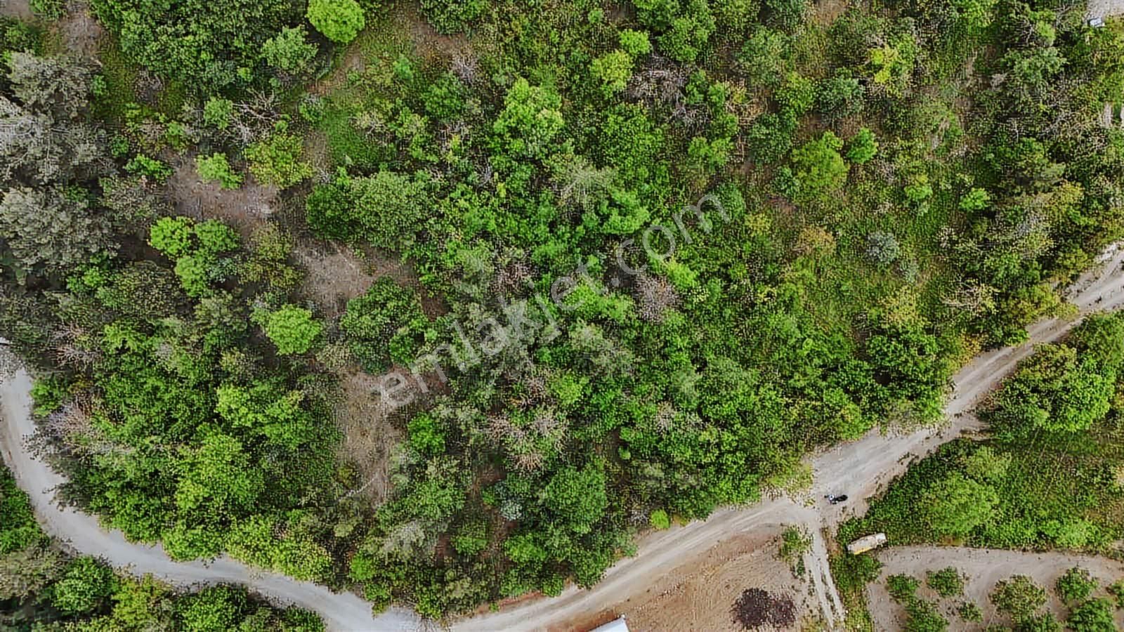 Ddoğancı Köyü Ne Yakın Satılık Arazi - Görsel 16
