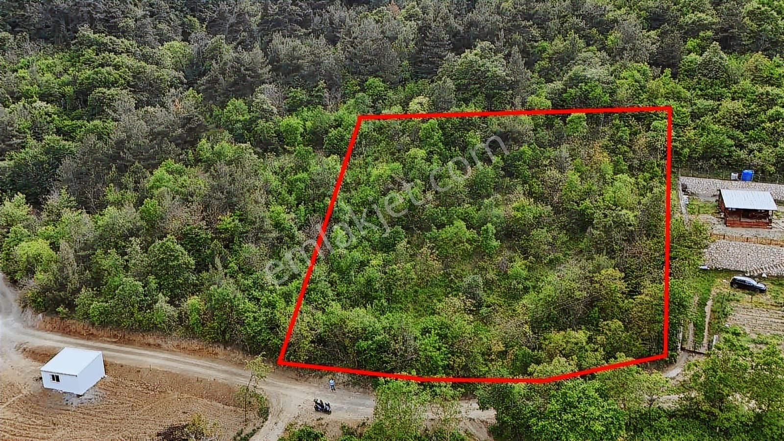 Ddoğancı Köyü Ne Yakın Satılık Arazi