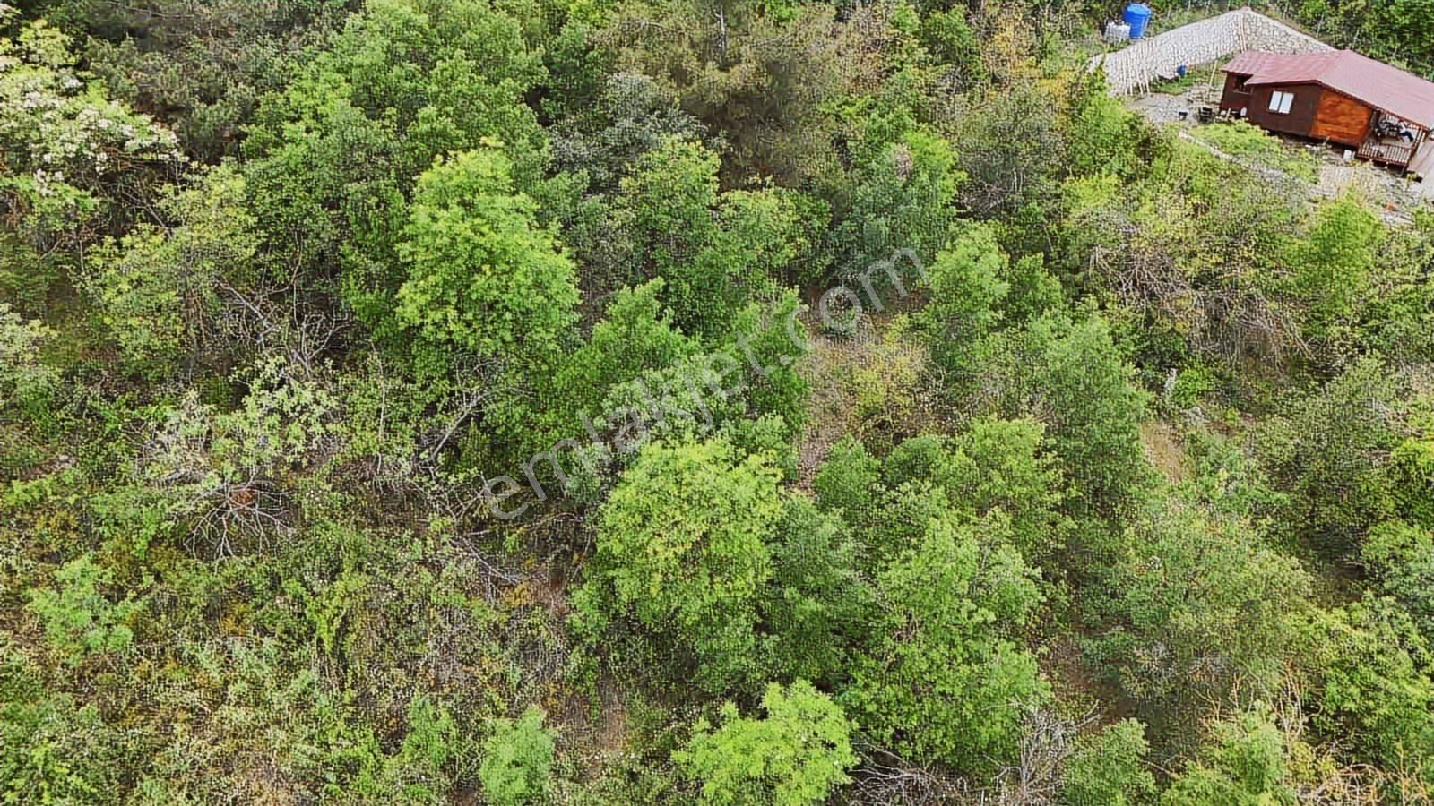 Ddoğancı Köyü Ne Yakın Satılık Arazi - Görsel 15