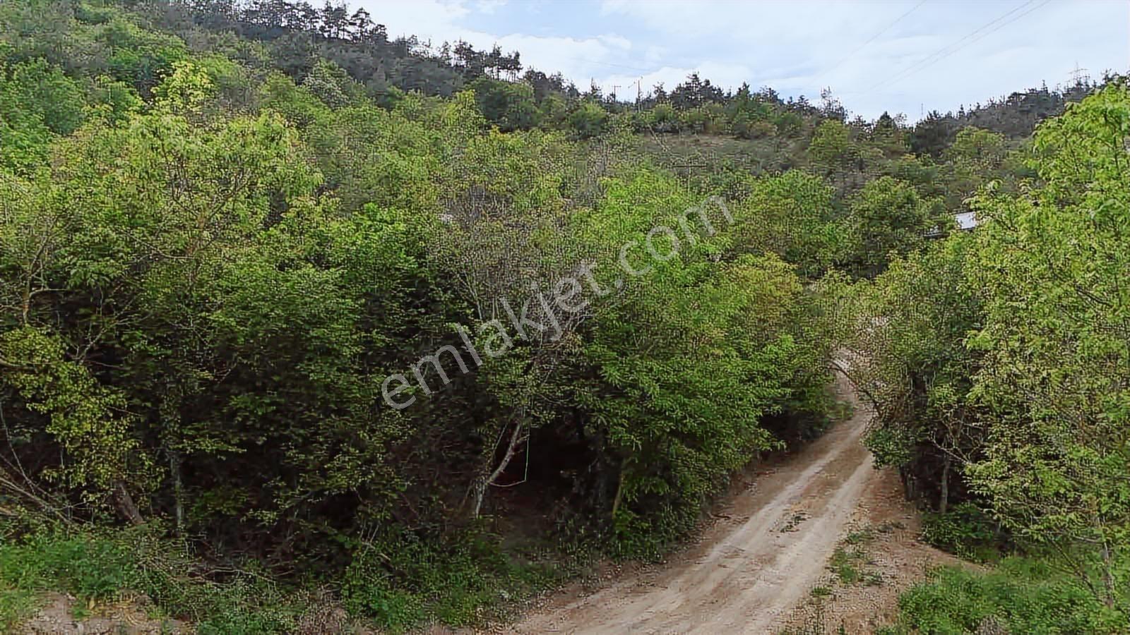 Ddoğancı Köyü Ne Yakın Satılık Arazi - Görsel 6