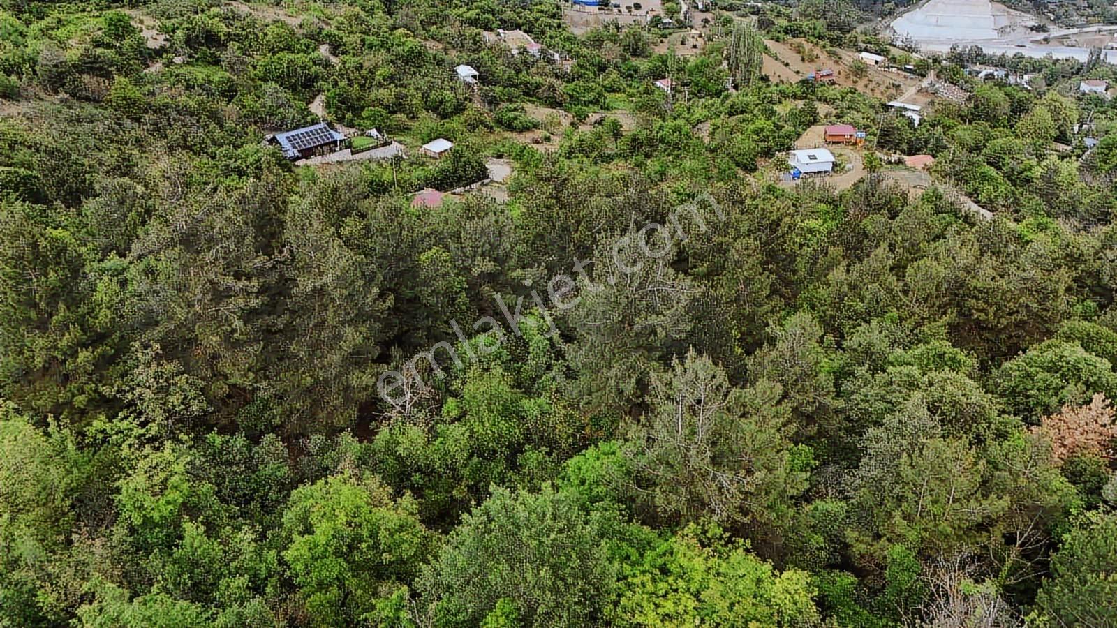 Ddoğancı Köyü Ne Yakın Satılık Arazi - Görsel 12