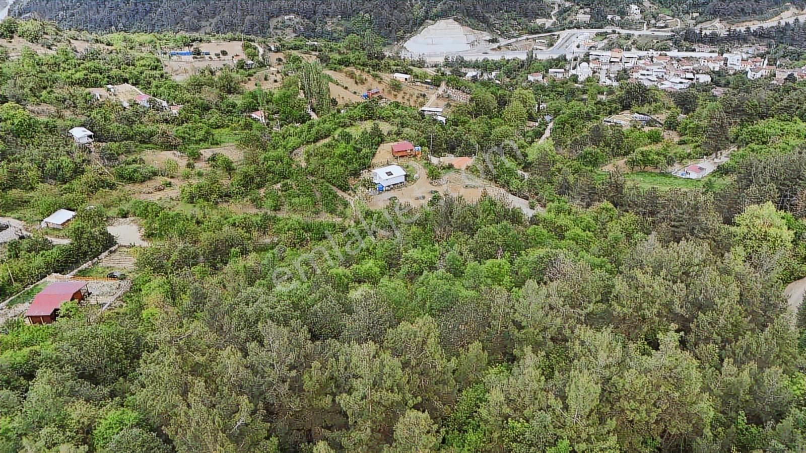 Ddoğancı Köyü Ne Yakın Satılık Arazi - Görsel 14