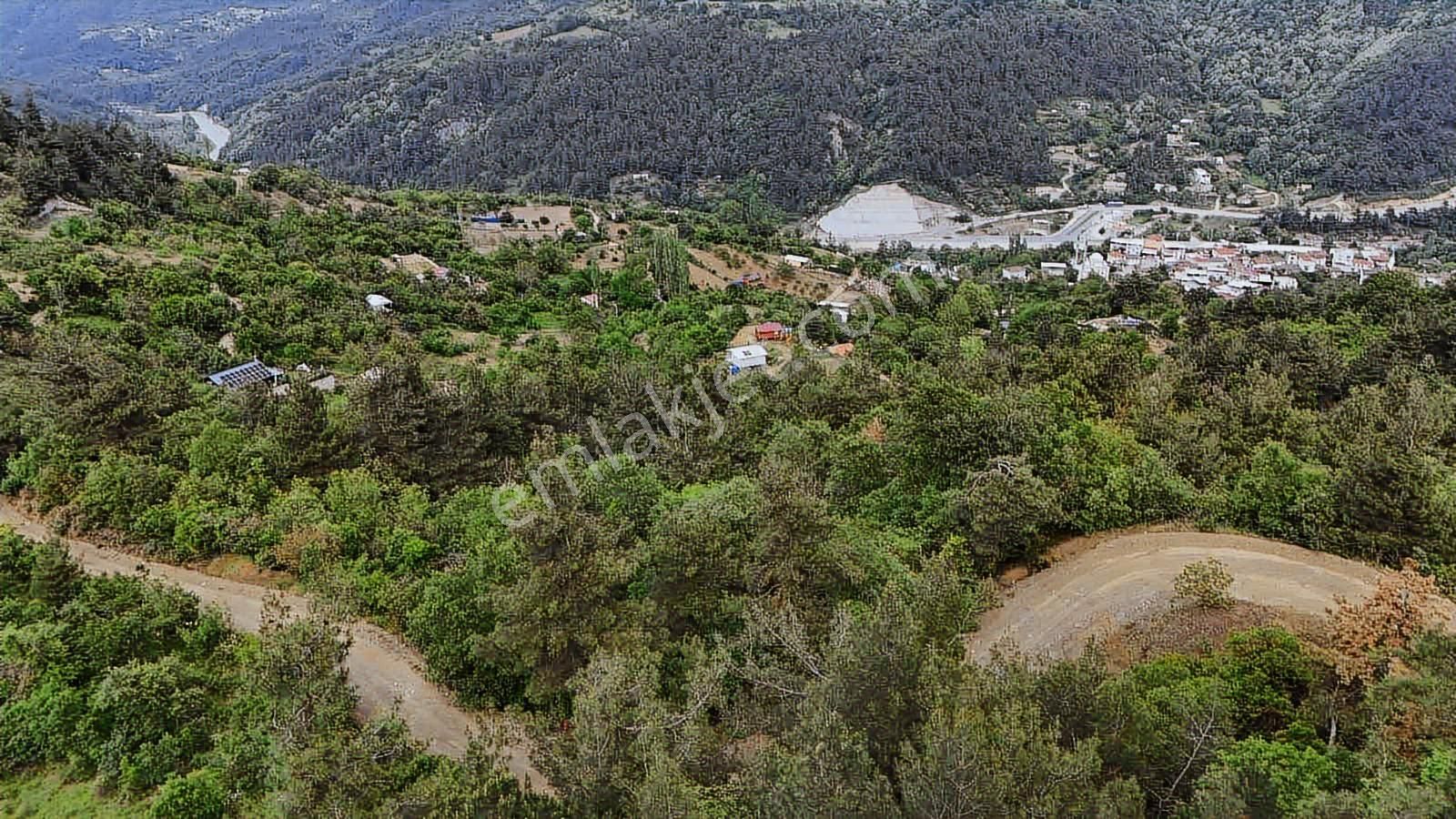 Ddoğancı Köyü Ne Yakın Satılık Arazi - Görsel 10