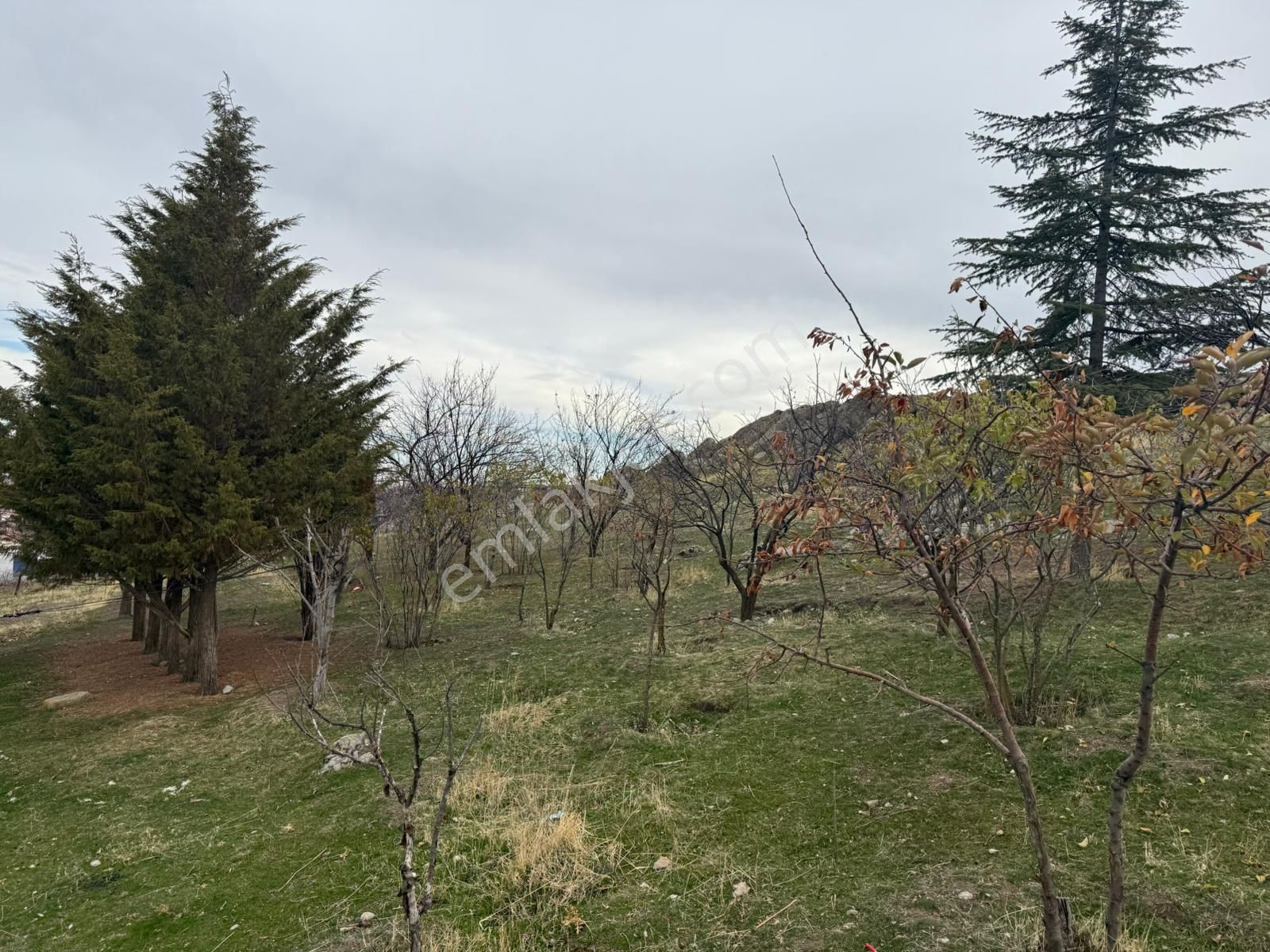 Ankara Gölbaşı Oyaca Da Satılık 2000 Dönüm 12 Metre Arsa Ve İçin De Ev - Görsel 6