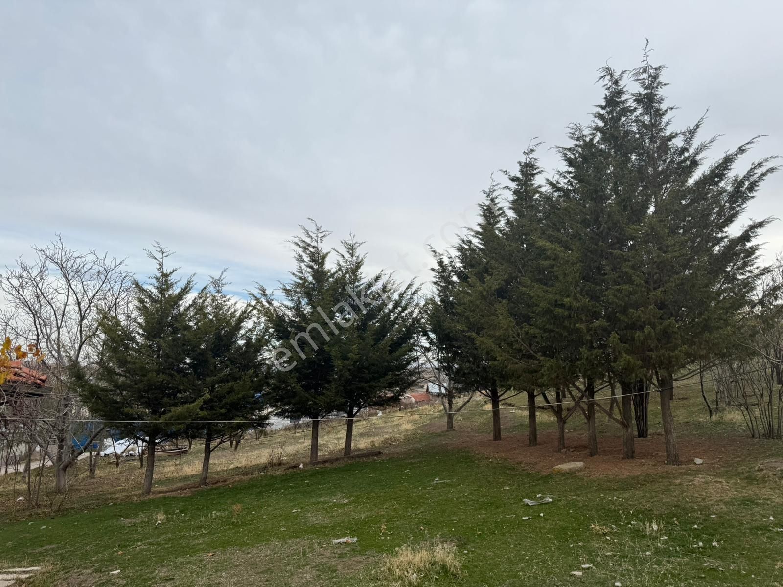 Ankara Gölbaşı Oyaca Da Satılık 2000 Dönüm 12 Metre Arsa Ve İçin De Ev - Görsel 3