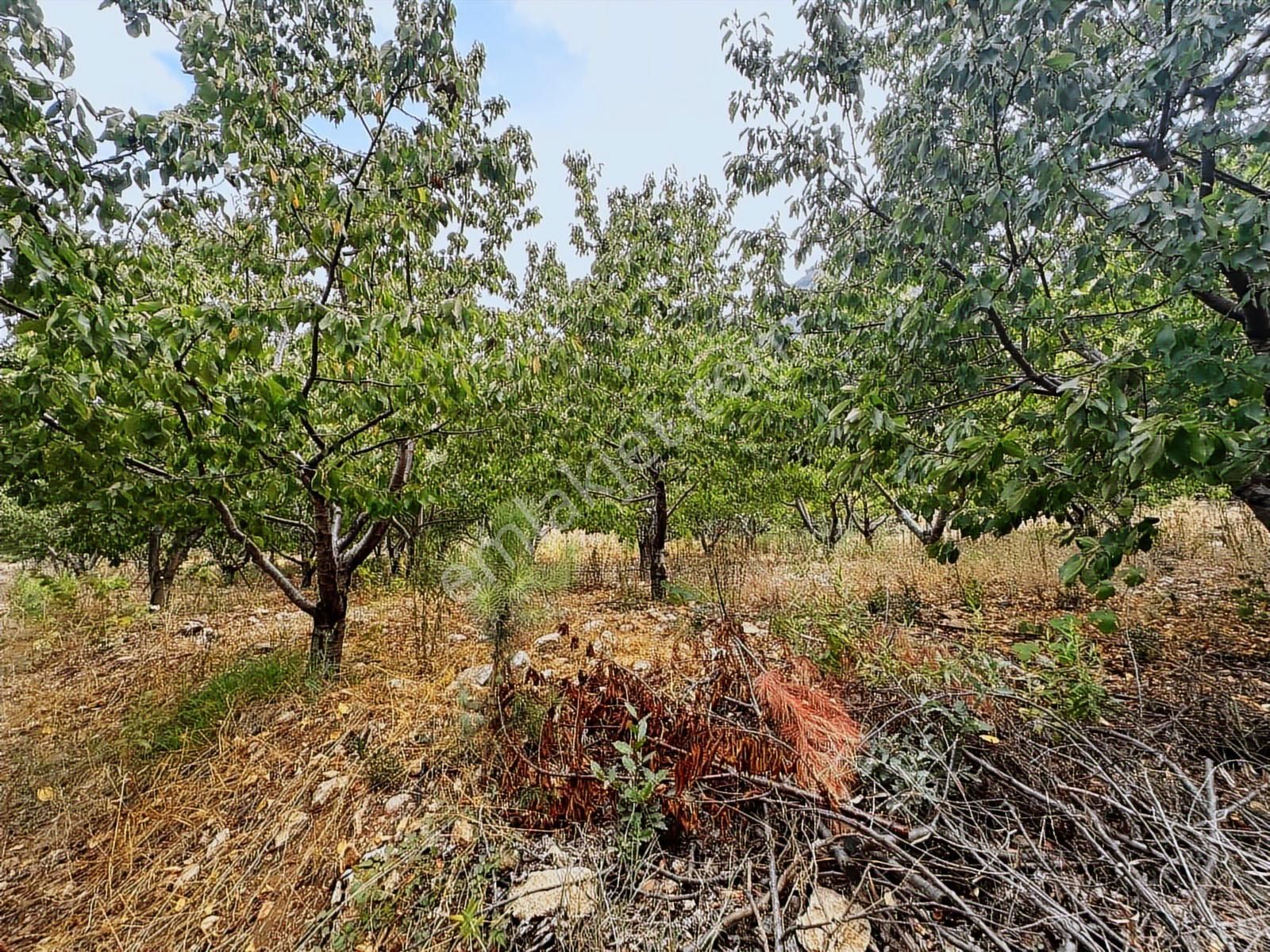 New Formdan Toroslar Darısekisi'nde 11.820 M2 Satılık Tarla - Görsel 28