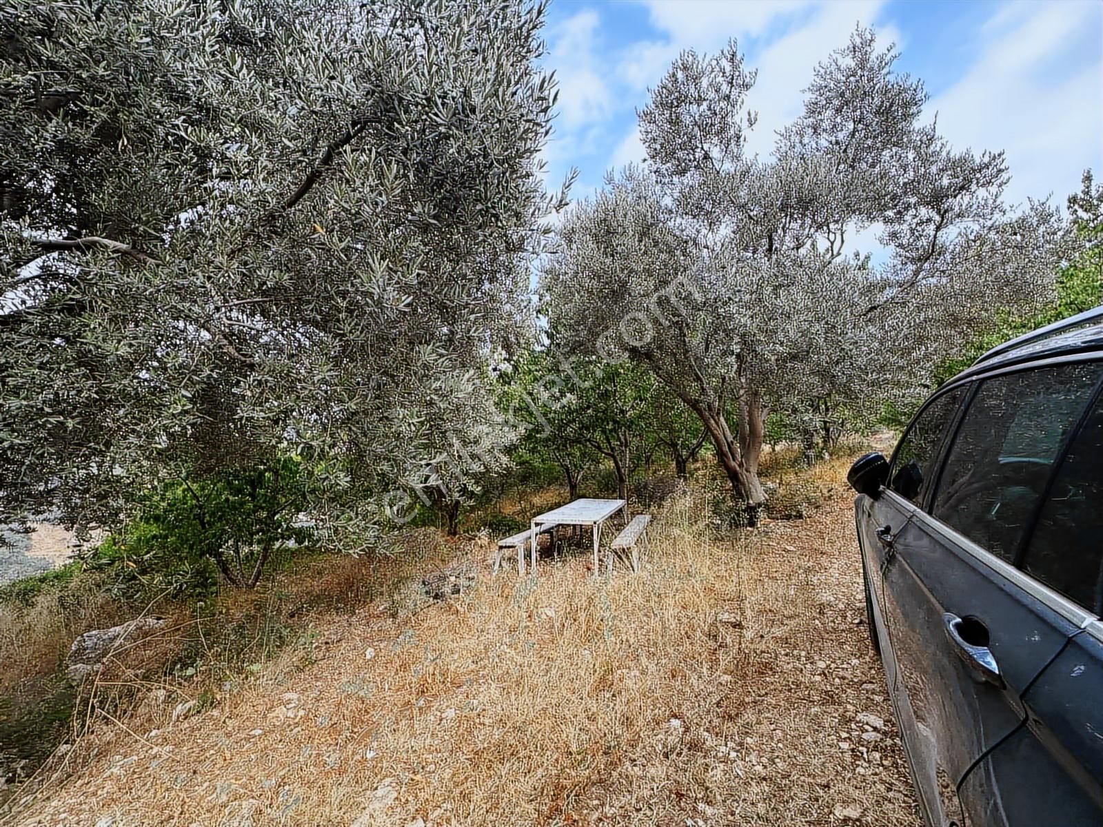 New Formdan Toroslar Darısekisi'nde 11.820 M2 Satılık Tarla - Görsel 9