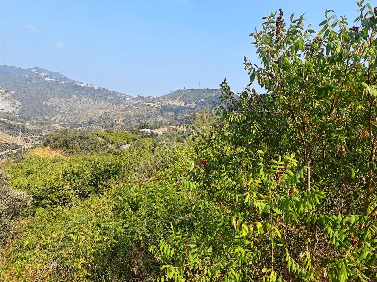 New Formdan Toroslar Darısekisi'nde 11.820 M2 Satılık Tarla - Görsel 2
