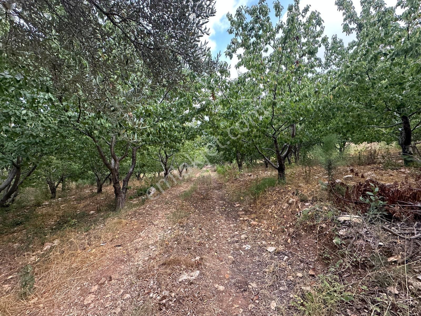 New Formdan Toroslar Darısekisi'nde 11.820 M2 Satılık Tarla - Görsel 10