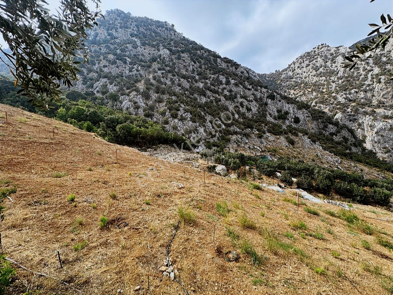 New Formdan Toroslar Darısekisi'nde 11.820 M2 Satılık Tarla - Görsel 26