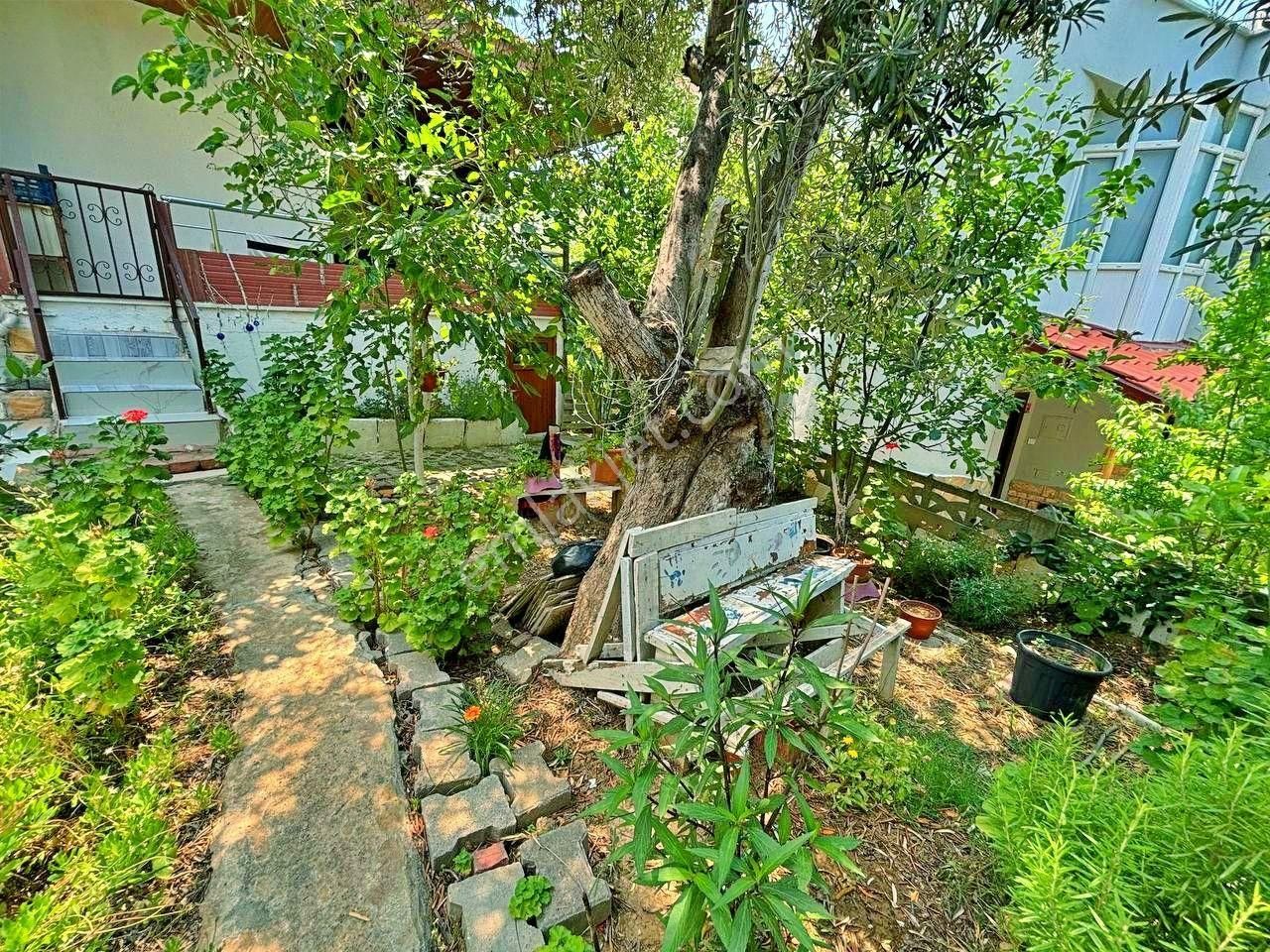 Uytundan Pelitköyde Denize 150 Metre Bahçe Kullanımlı 3+1 Villa - Görsel 23