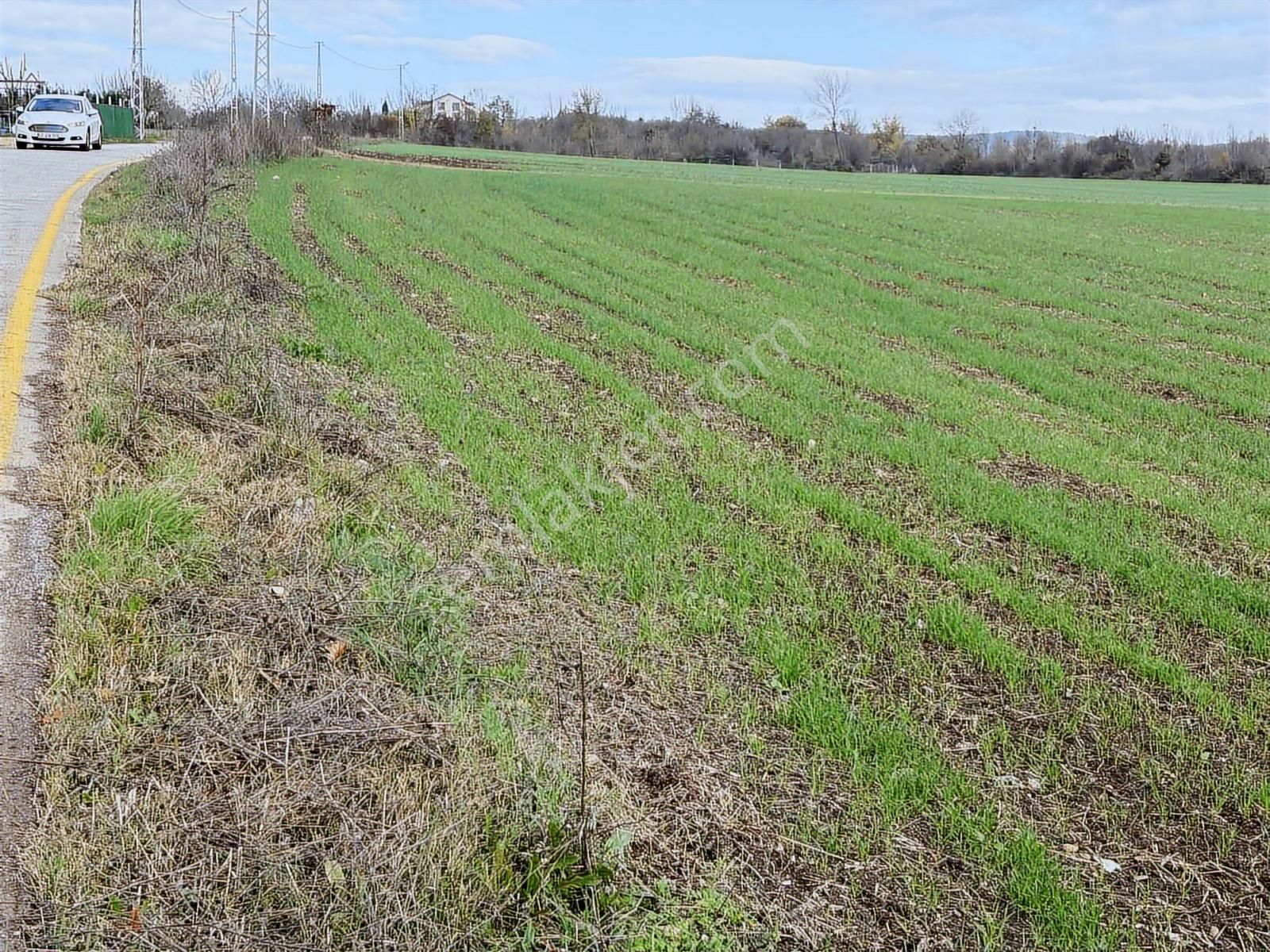 Kartepe Mevki Ormanya'ya 2 Dakika Mesafede Satılık 5 Dönüm Tarla - Görsel 6