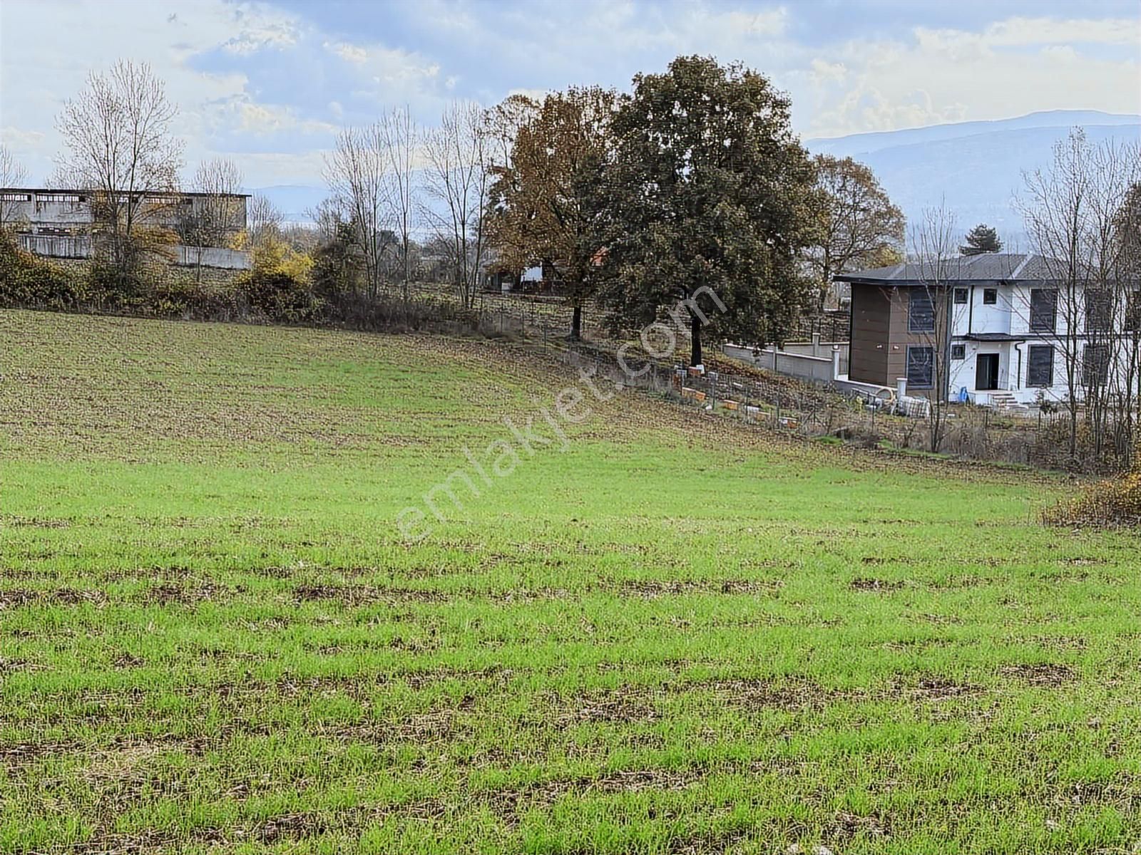 Kartepe Mevki Ormanya'ya 2 Dakika Mesafede Satılık 5 Dönüm Tarla - Görsel 8