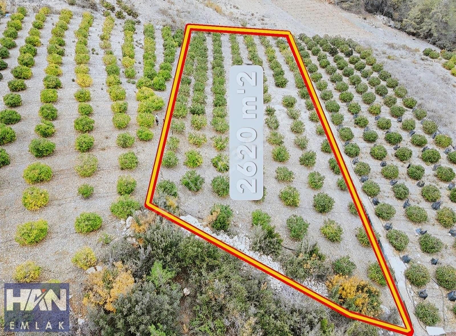 Han Emlak'tan Çevlik'te 2.620 M2 Satılık Arsa