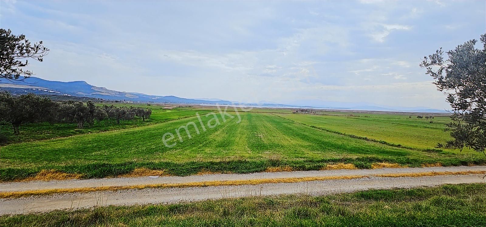 Kuzey Ege Limanına Hakim Büyük Parsel (36.478 M2)